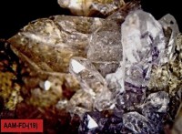 /album/galerie-photos/piquette-nord-p10-filon-d-quartz-3318-mod5-jpg1/